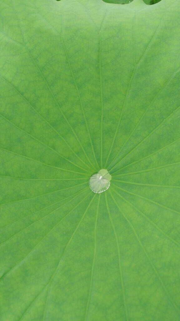 出勤します