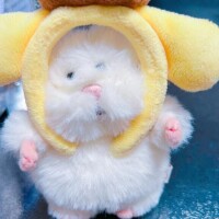 出勤中♡今日ご予約頂いているお兄様へ💕