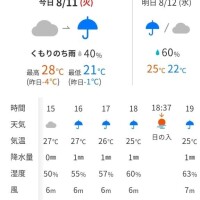 この後雨降るみたいです☔