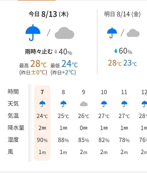 本日は1日雨☔