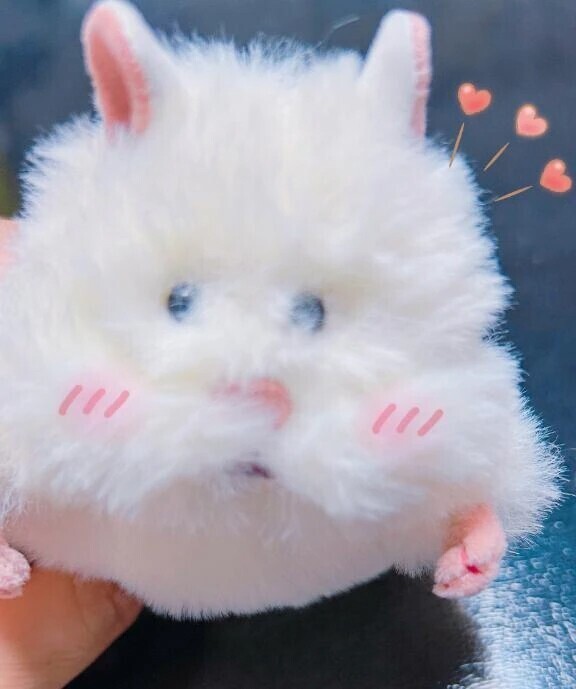 当日出勤しました