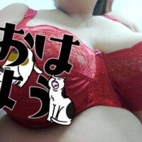 出勤しましたー