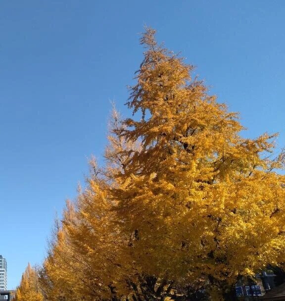 胃腸には‥まだ早い！？