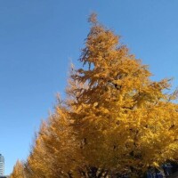 胃腸には‥まだ早い！？