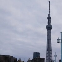 そり立たせましょ♥