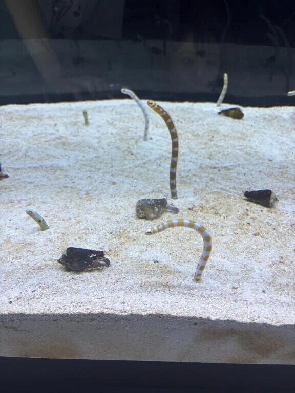 水族館！