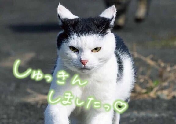 スタート‼️