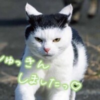スタート‼️