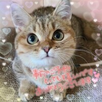 事前ご予約ありがとうございます💕︎