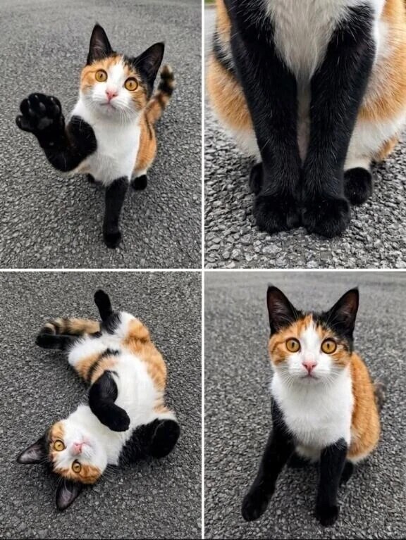 ゆら。