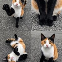 ゆら。