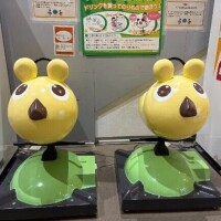 雨大丈夫❓