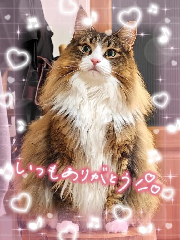 昨日のお礼💌です♡