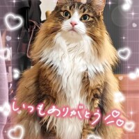 昨日のお礼💌です♡