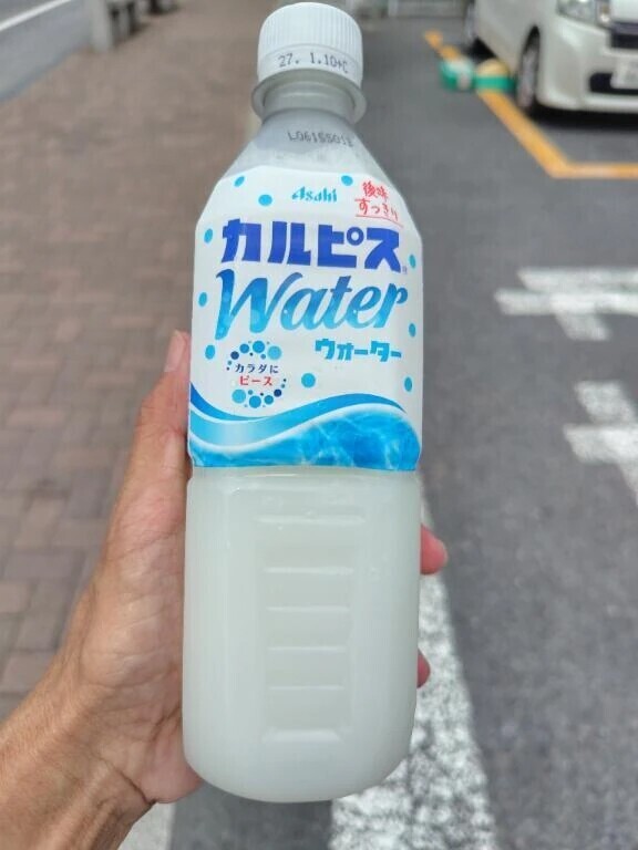 あとは帰るのみ✊