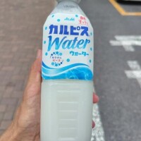 あとは帰るのみ✊