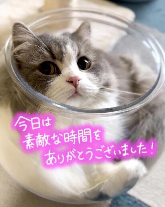 ありがとうございました💌