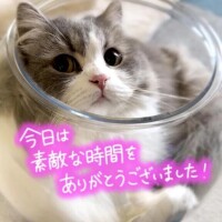 ありがとうございました💌