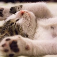 ご予約ありがとうございます!(´▽｀)
