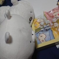 すんまそん