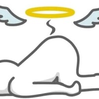 ごめんなさい