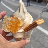 ムーアちゃんの添乗員日記37✨