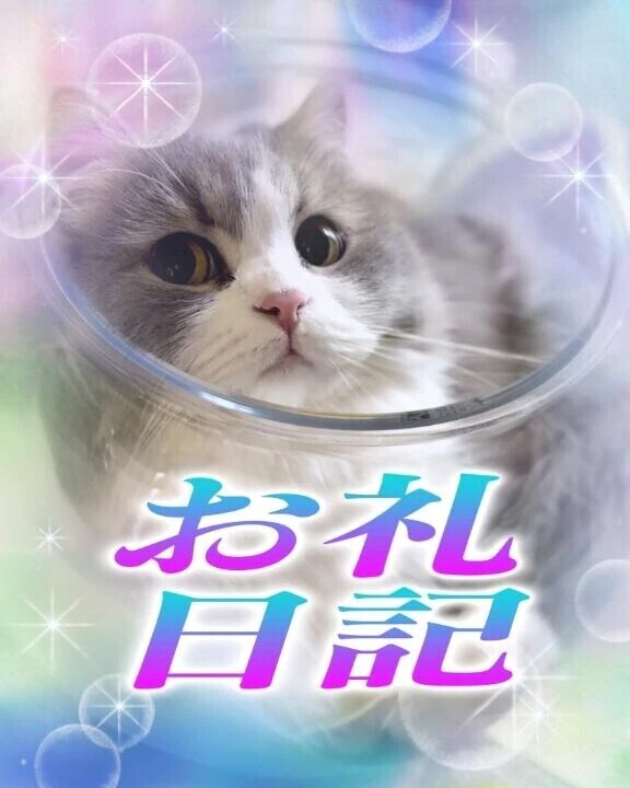 26日 ありがとうございました💛
