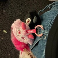 お知らせが…