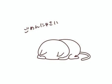 来ちゃった💦