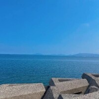 藤浪、復活💪🏻