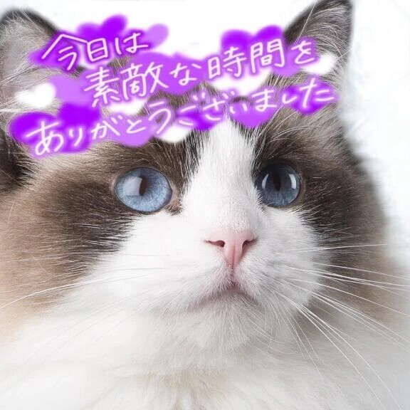 ありがとうございました☺️