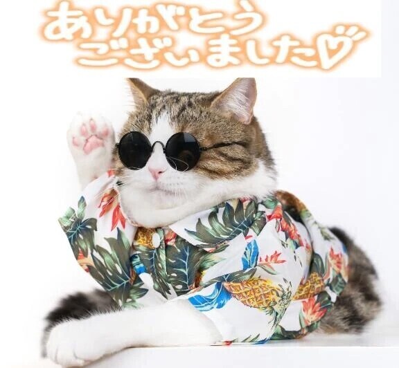 ありがとうございます!(´▽｀)