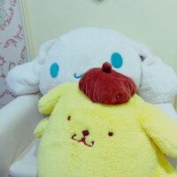 篠木（しのぎ）