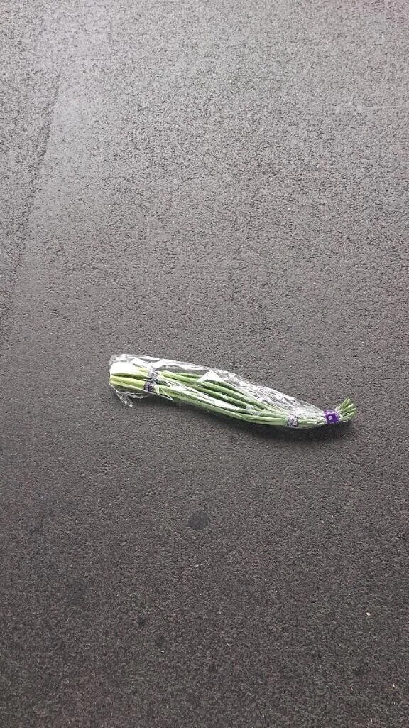 落し物