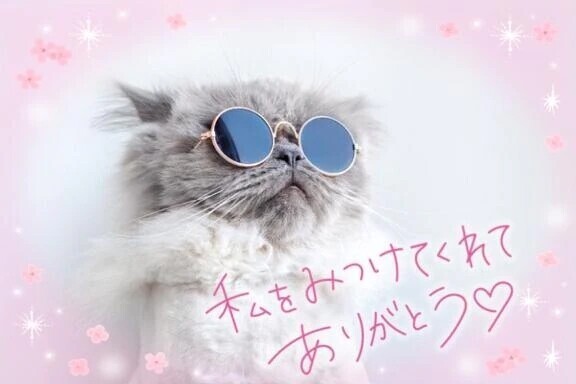 ありがとうございました✨