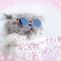 富田