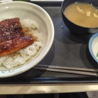 本日のランチ🍚
