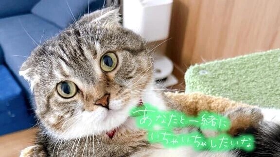 ご予約ありがとうございます♡