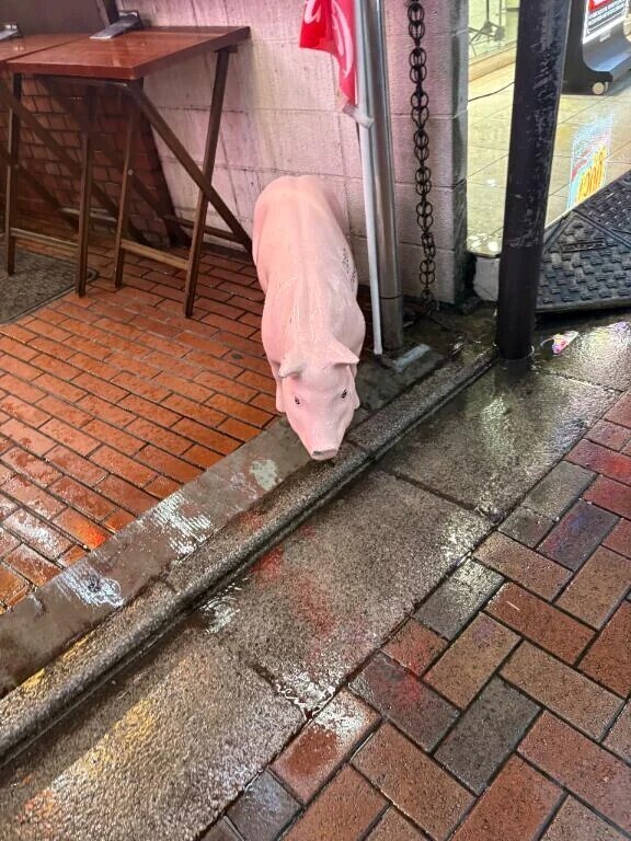 寒い‼️