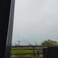 尾形
