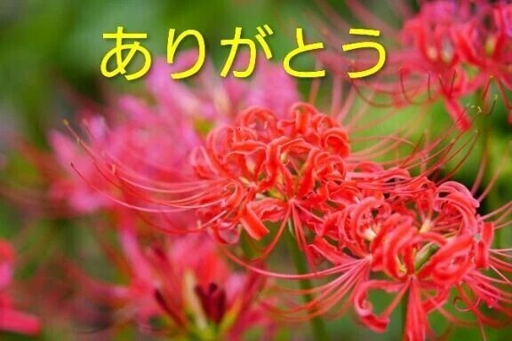 お礼
