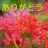 チェン