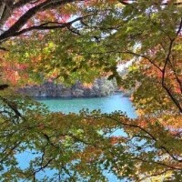 木澤