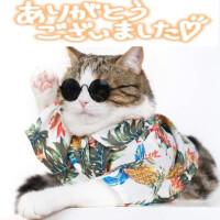 富田