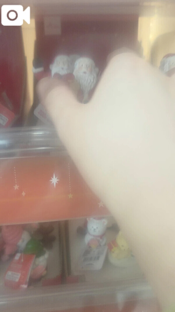 10月21日♥️ニューマンしゅっきんしました‼️