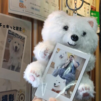 ドミンゴ