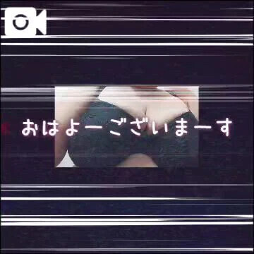 出勤しましたー