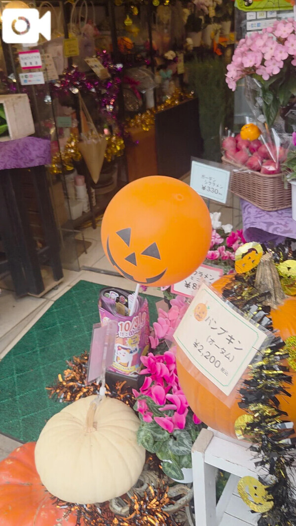 事前予約ありがとうございますm(__)m♥️ニューマン