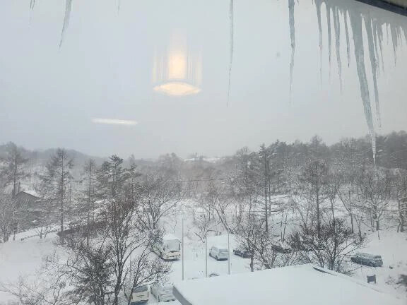 寒い⛄