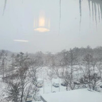 寒い⛄